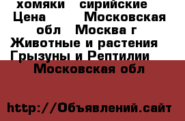 хомяки - сирийские  › Цена ­ 50 - Московская обл., Москва г. Животные и растения » Грызуны и Рептилии   . Московская обл.